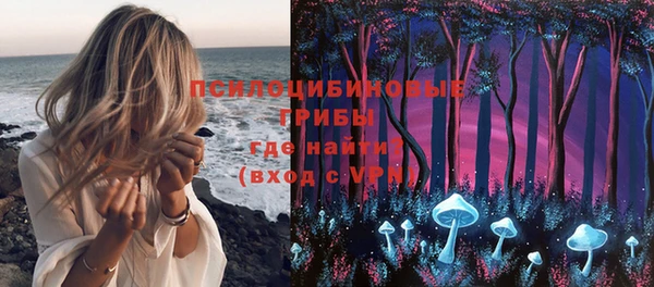 не бодяженный Слюдянка