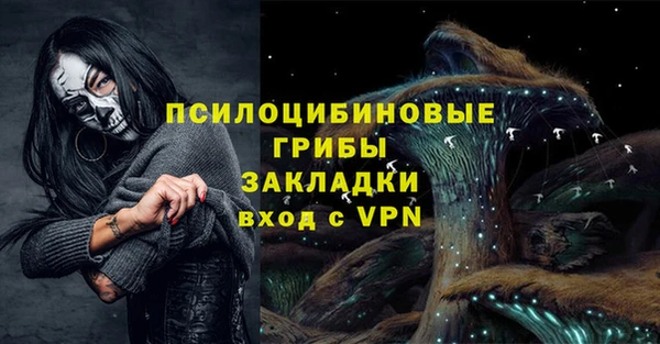 сатива Алексеевка