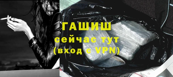тгк Снежногорск