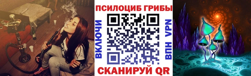 как найти   Чехов  Галлюциногенные грибы Psilocybe 